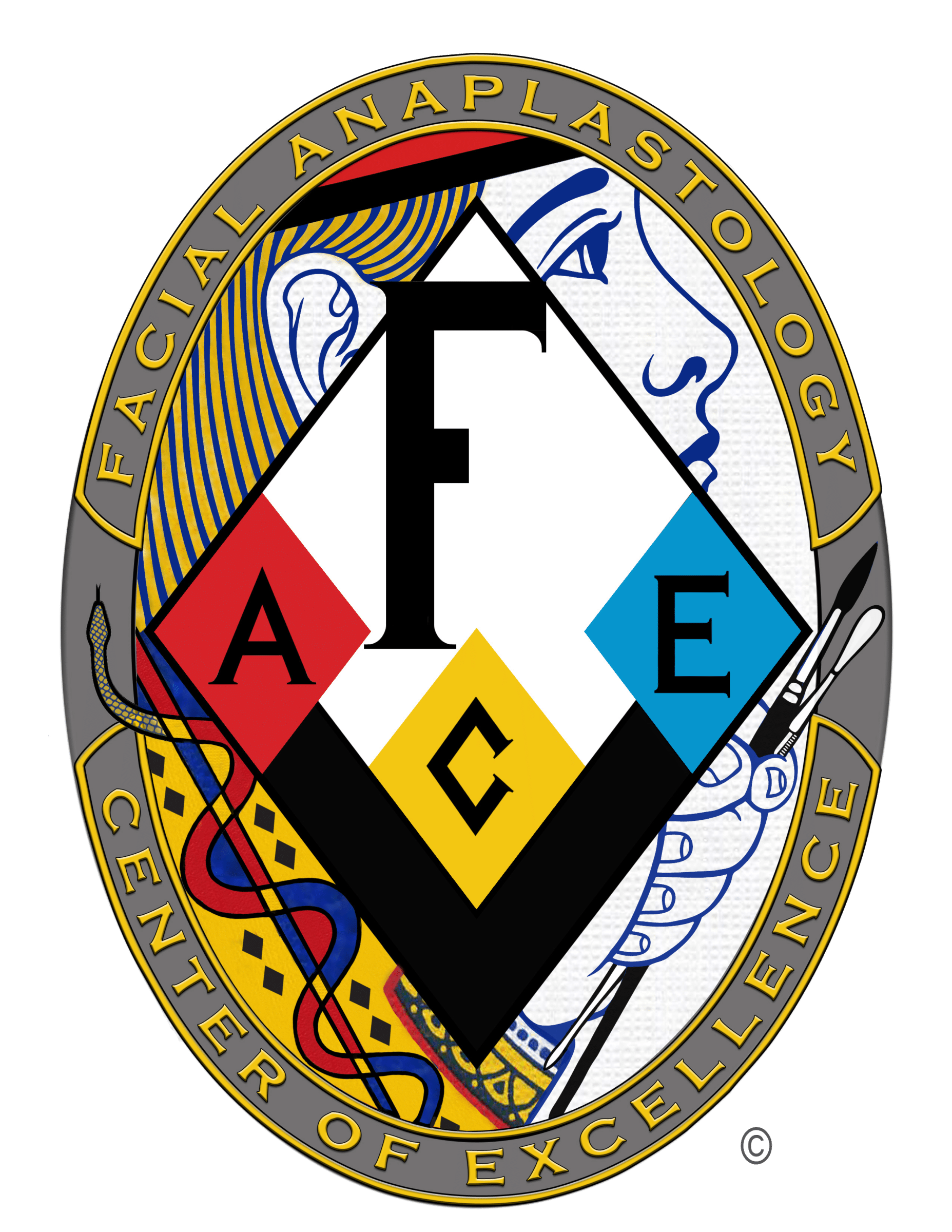 Facial Anaplastology Center of Excellence