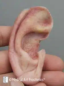 Close up of lower half silicone ear prosthesis