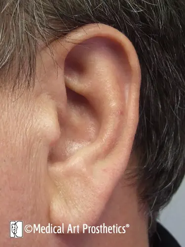 A close up of the ear and its part