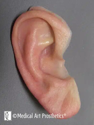Close-up of highly rendered lifelike ear prosthesis