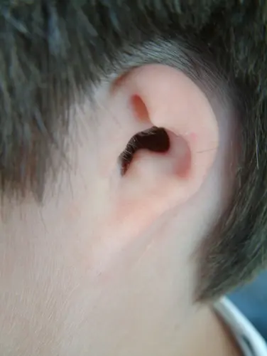 A close up of the ear of a person