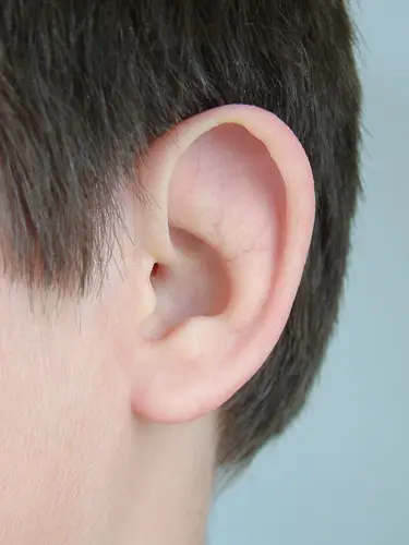 A close up of the ear of a person
