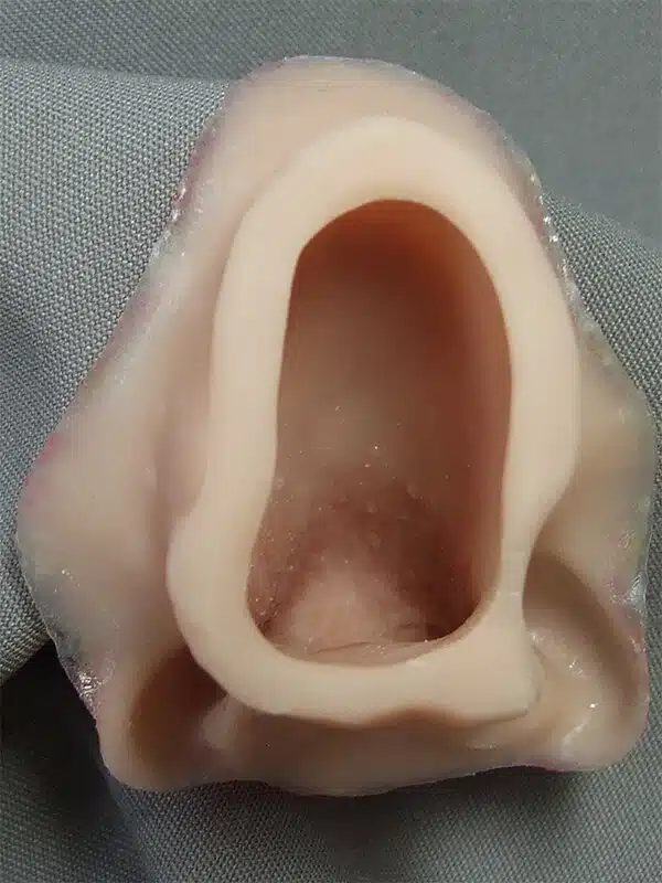 A close up of the inside of an ear