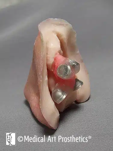 A close up of an ear with a small part missing