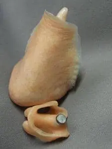 a silicone prosthetic nose with magnet