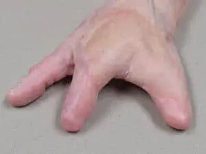 A person 's hand with the fingers of their thumb and index finger.